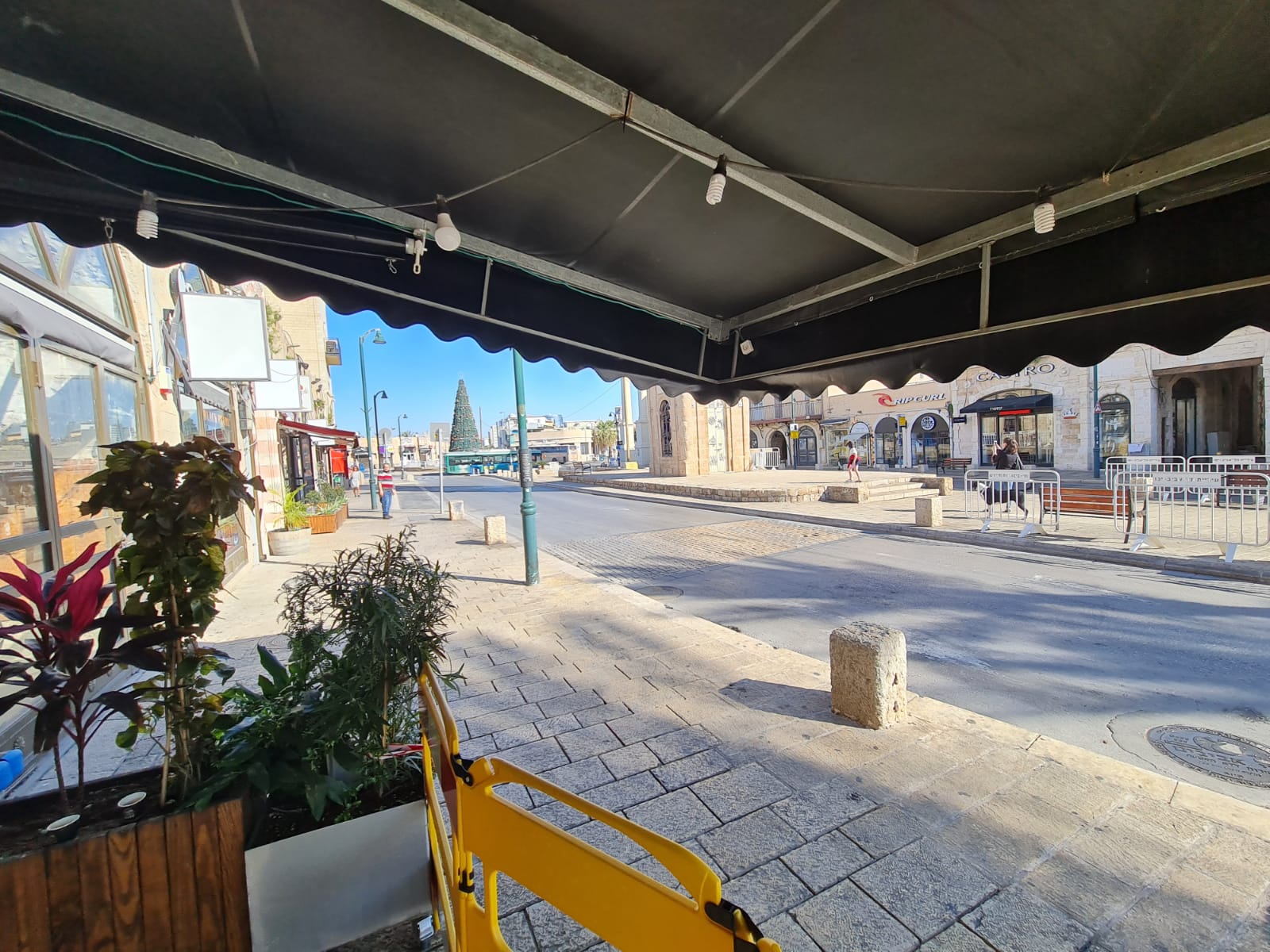 WhatsApp Image 2021-01-08 at 10.44.31 AM.jpeg.jpeg